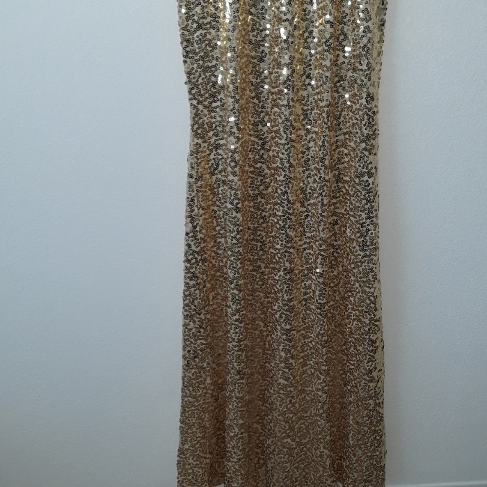 Beautiful Gold Sequin Dress - Picture 5 of 8